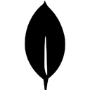 MongoDB logo - MongoDB is a technology used by M Hassan Ali